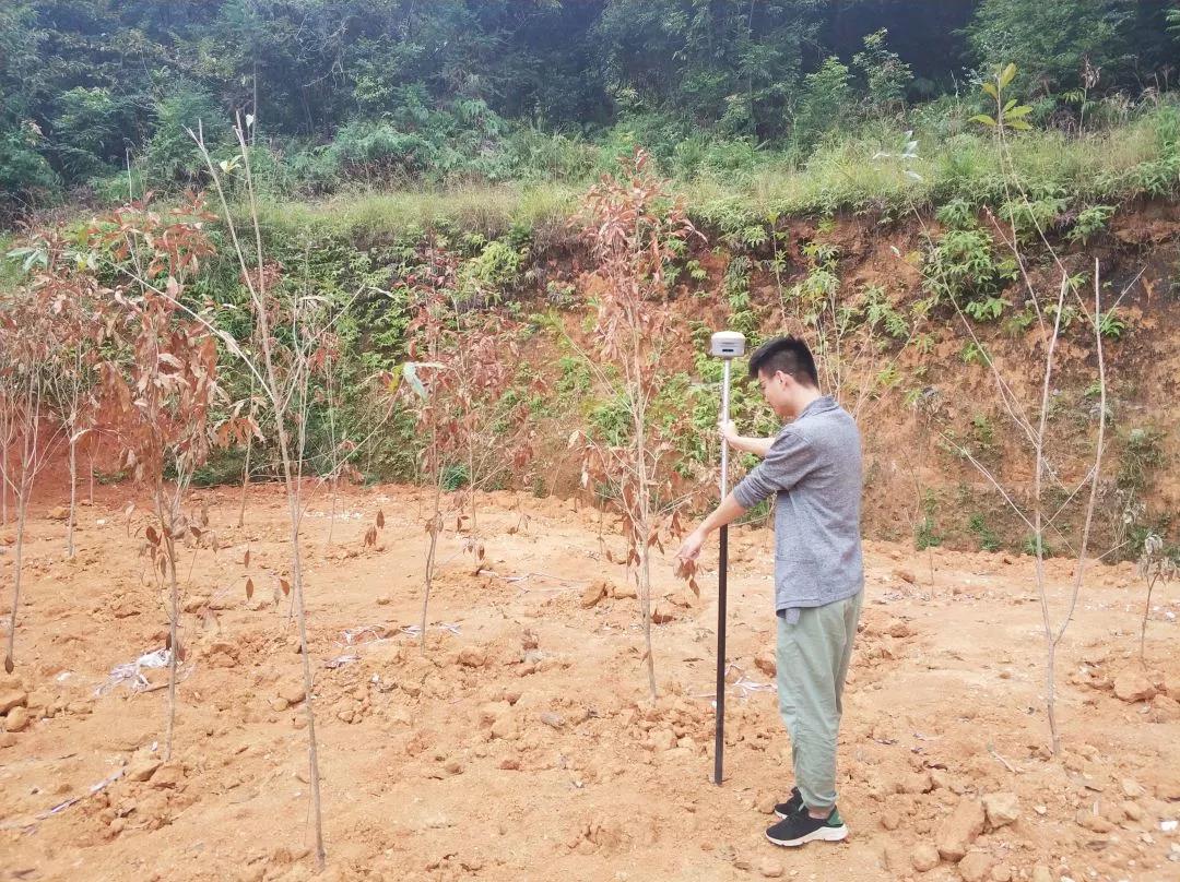 土地规划部项目纪实丨OD平台人，，，，，助力荒地变桑田！
