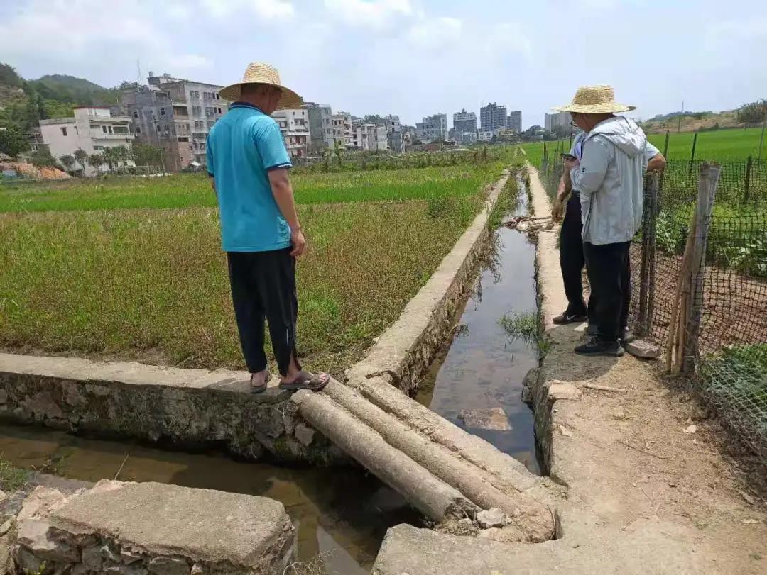 五华高标项目纪实丨助力高标准农田建设 为乡村振兴蓄势赋能