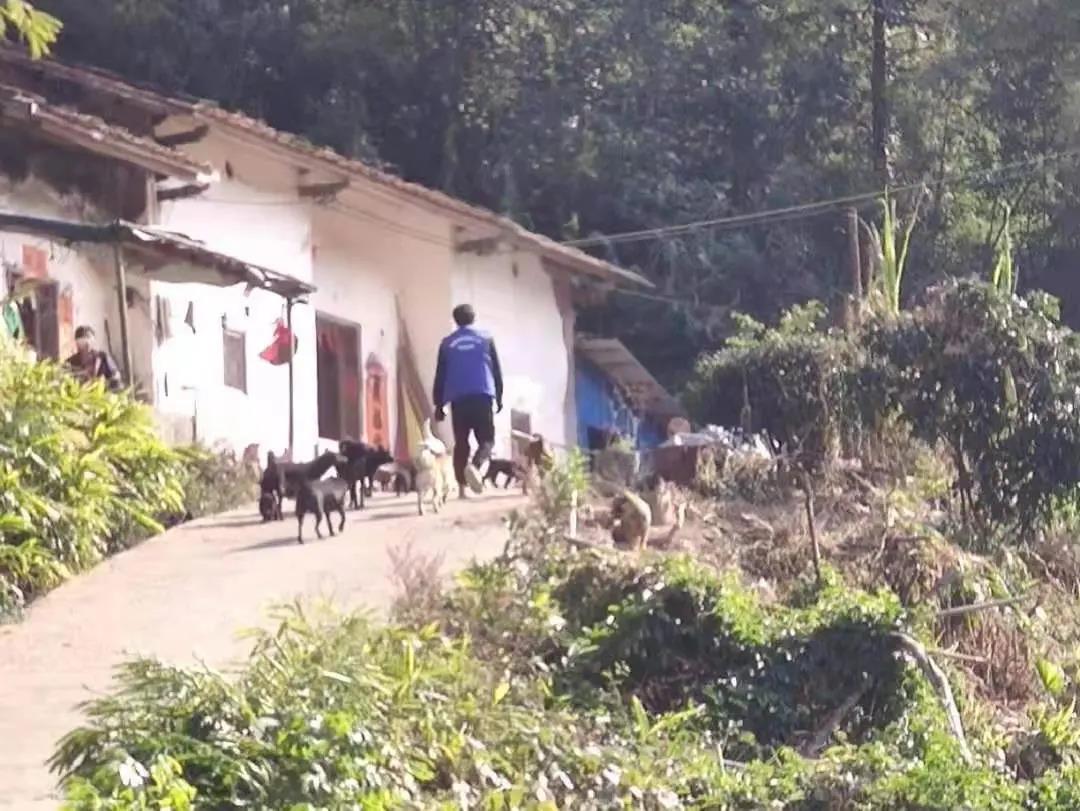 阳春房地一体项目纪实丨无悔青春多砥砺，，，，，，，，最是奋斗动人心