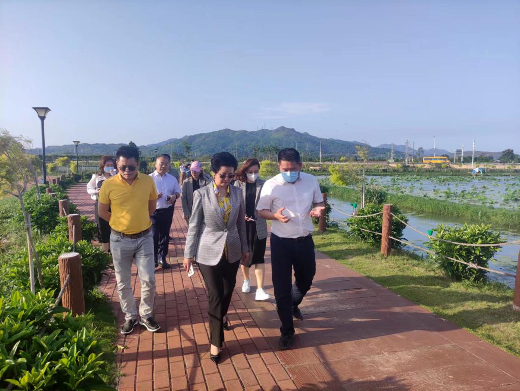 省生态修复协会轮值会长单位OD平台集团带队赴汕尾全域土地整治军民融合试点项目调研