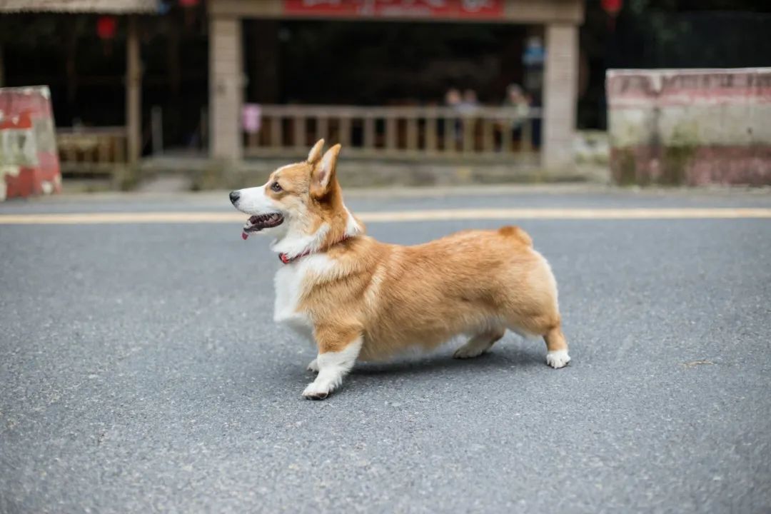 再见，，，，，我的老朋友