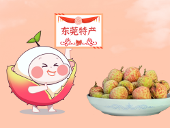 漫话OD平台丨一颗有“故事”的荔枝！