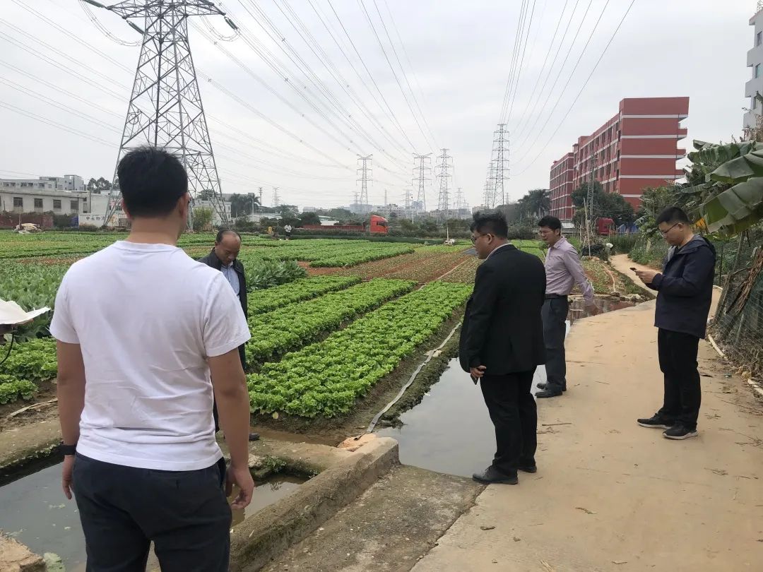 助力乡村振兴，，，，，，，，OD平台一直在努力！