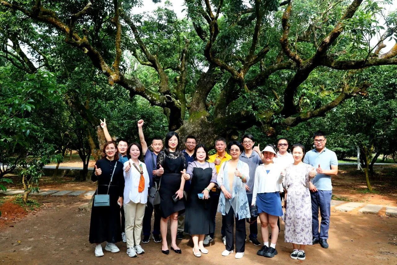 OD平台集团作为省国土空间生态修复协会轮值会长带队调研粤西全域土地综合整治工作