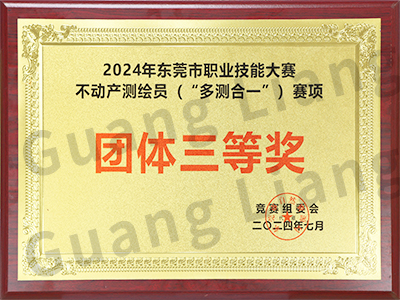 2024年东莞市职业技能大赛不动产测绘员（“多测合一”）赛项团队三等奖