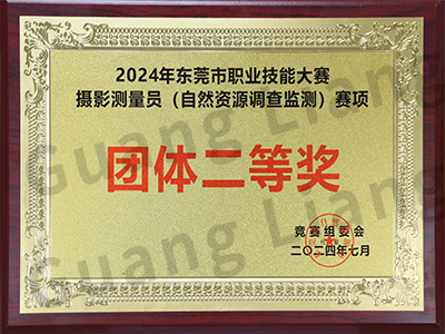2024年东莞市职业技能大赛不动产测绘员（“自然资源调查监测”）赛项团队二等奖