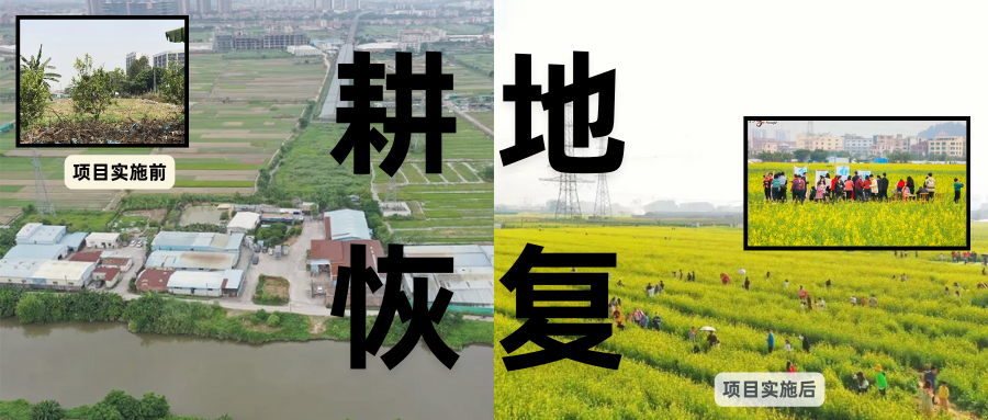 耕地；；；；；；；び刖梅⒄构踩凇甘泻窠终蛩谏缜读继锵钅扛鼗指从氤窍缛诤系拇葱率导
