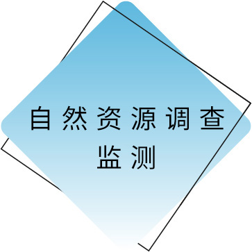 自然资源调查监测.jpg